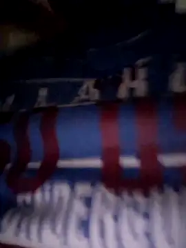 Javier bear online show from 28, 10, 2025