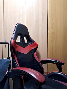 Javier bear online show from 15, 11, 2025