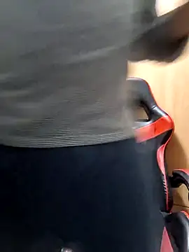 Javier bear online show from 7, 11, 2025