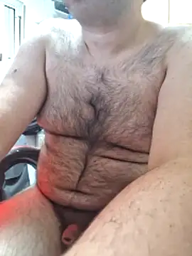 Javier bear online show from 6, 3, 2026