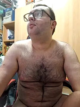 Javier bear online show from 5, 11, 2025