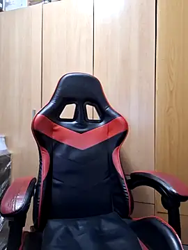 Javier bear online show from 13, 11, 2025