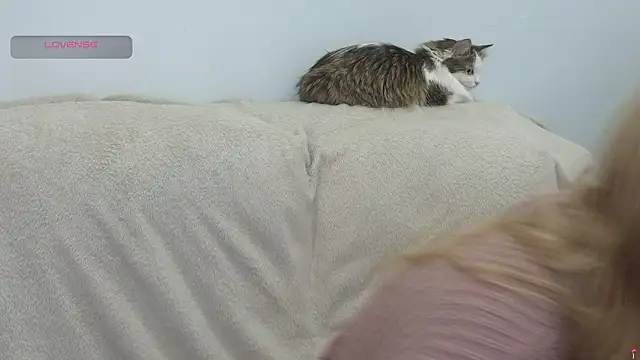 gertanord online show from 21, 2, 2026