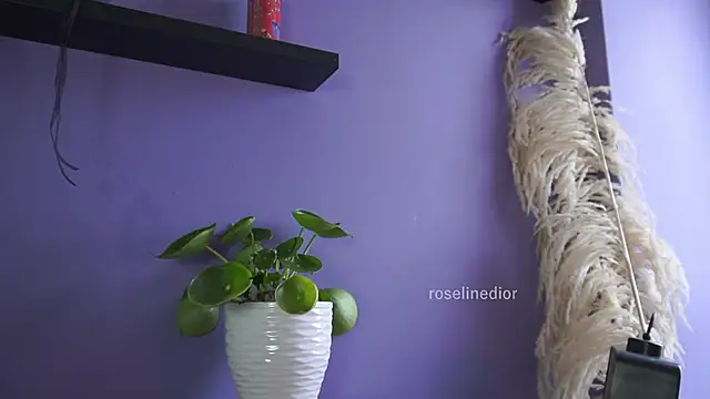 roselinedior online show from 20, 5, 2026