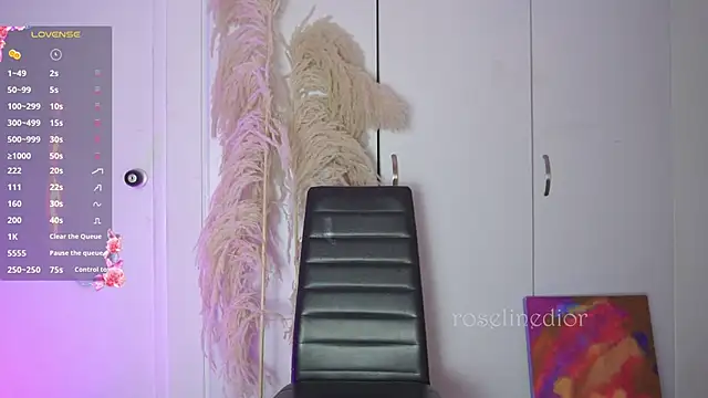 roselinedior online show from 12, 11, 2025