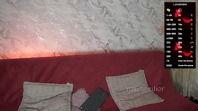 roselinedior online show from 26, 11, 2025