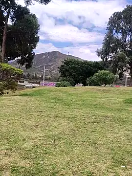 Wanda and cosmo  online show from 26, 2, 2025