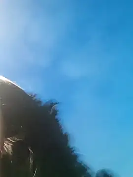 Wanda and cosmo  online show from 3, 3, 2025