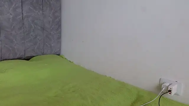 linda 33 online show from 11, 9, 2025