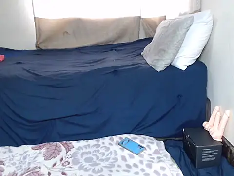 AdelaideT online show from 1, 12, 2025