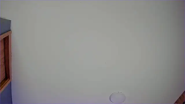 Bambi gurl online show from 4, 7, 2026