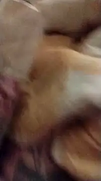 fukurbutt online show from 1, 12, 2025