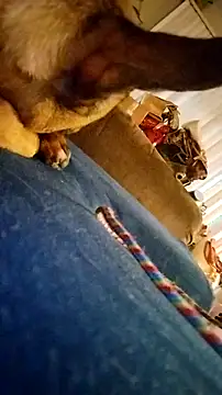 fukurbutt online show from 19, 2, 2026