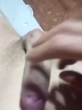 El22 1431 online show from 28, 11, 2025