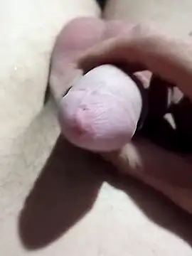 El22 1431 online show from 22, 11, 2025