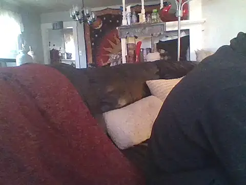 LongDickLance online show from 8, 1, 2026