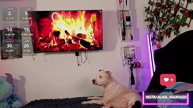 Alaia Asuka online show from 3, 10, 2025