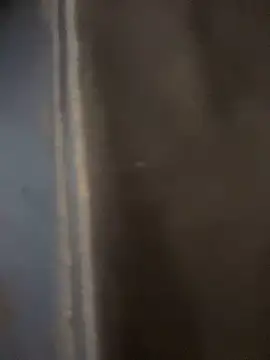 haddy ss online show from 15, 11, 2025