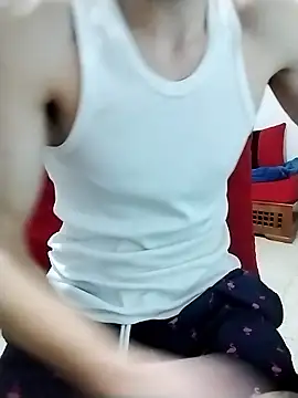 Zoro 23cm online show from 11, 1, 2026