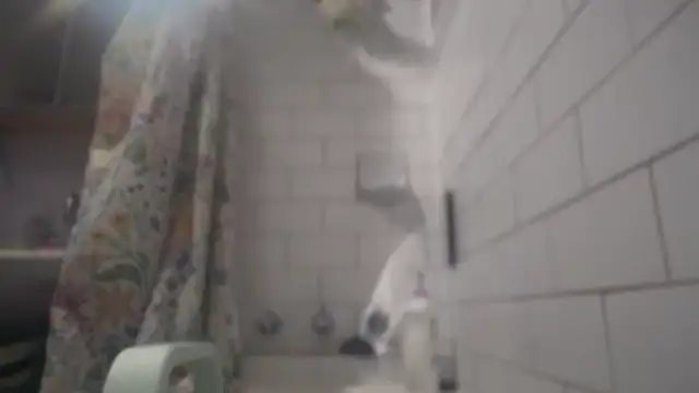 bukkakebae1 online show from 2, 12, 2025