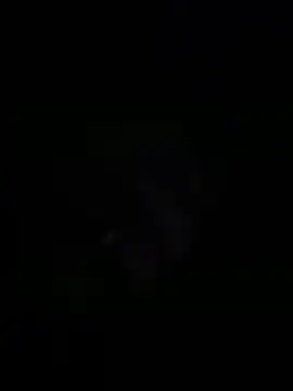 sylviahhh online show from 3, 4, 2026