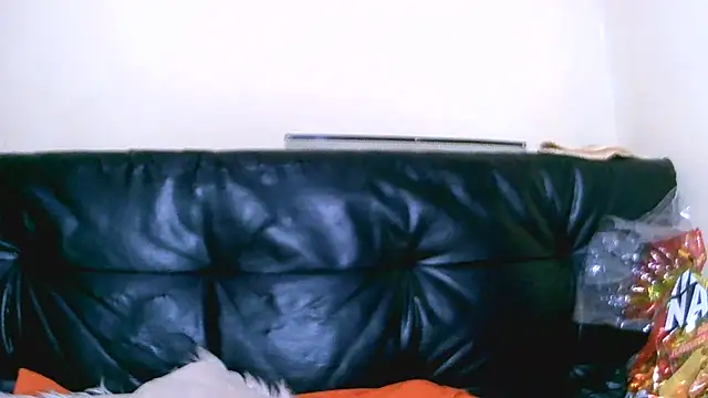 Bustypillows online show from 10, 7, 2026