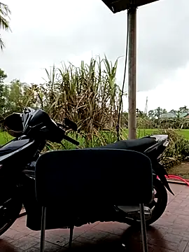 Blythe 69 online show from 12, 3, 2025