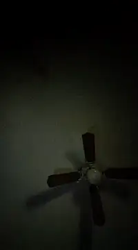 LongDickZee562 online show from 6, 12, 2024