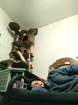 LongDickZee562 online show from 31, 1, 2025