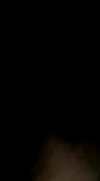 Sergipano fogozinho online show from 28, 1, 2025