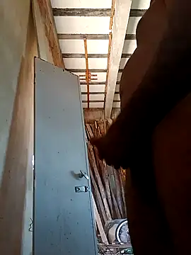 Sergipano fogozinho online show from 5, 12, 2024