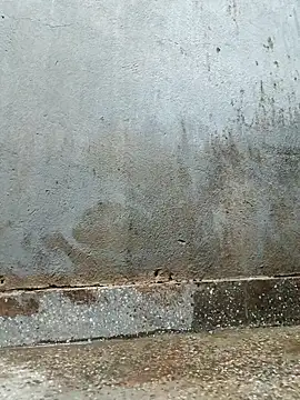 Sergipano fogozinho online show from 3, 2, 2026