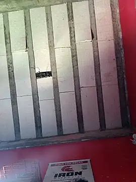 Sergipano fogozinho online show from 14, 11, 2025