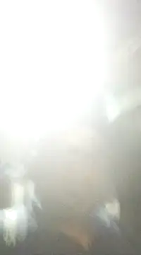 ssamit0808 online show from 10, 2, 2025