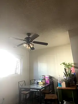 Snapshot of MrDickUdown24_7 chatting on 18, 10, 2025 MrDickUdown24 7 online show from 18, 10, 2025