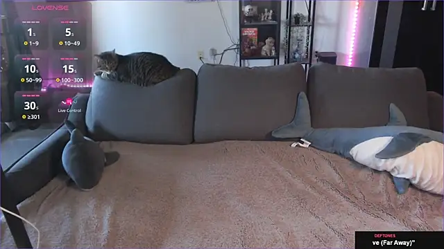 Clairedelilah online show from 21, 1, 2025