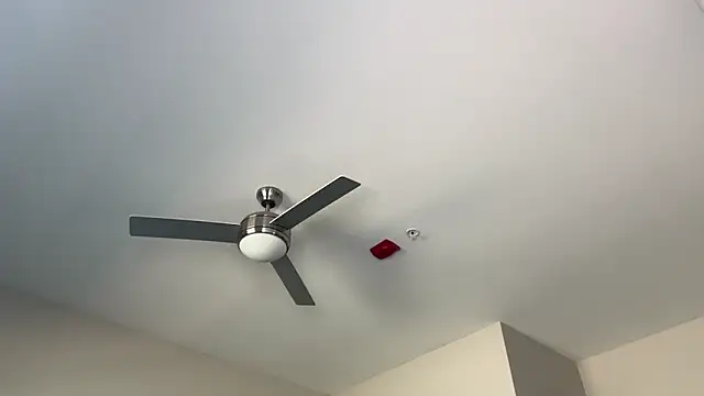 ElenaErickson online show from 19, 3, 2025