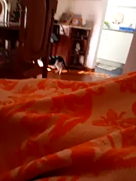 sonia1488 online show from 27, 12, 2024