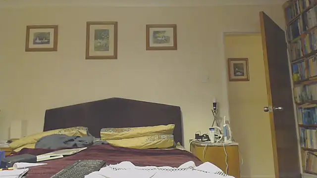 WaverlyKernow online show from 29, 1, 2025