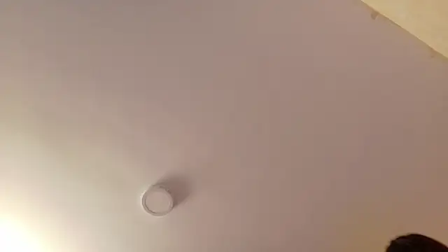 rosse 98  online show from 26, 10, 2025