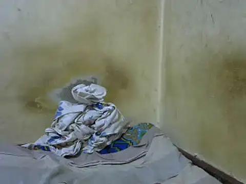 swthairydic online show from 17, 3, 2025