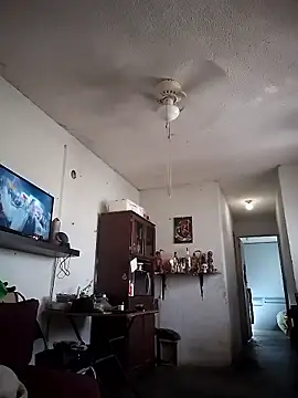 Alebir1329 online show from 12, 3, 2026