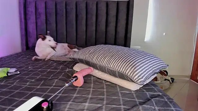 paulina soto online show from 5, 4, 2026