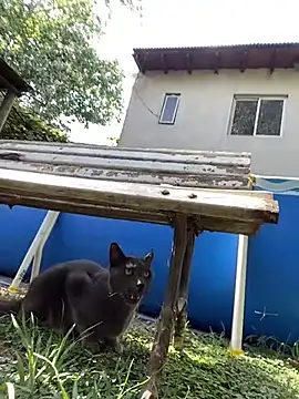 Snapshot of FlorBich chatting on 3, 2, 2026 FlorBich online show from 3, 2, 2026