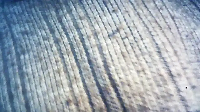 wedge75 online show from 5, 12, 2024