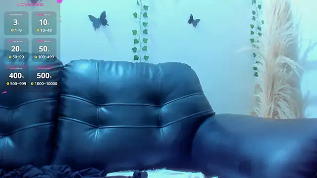 Amani Bakir online show from 10, 11, 2025