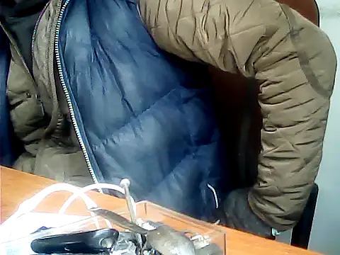 Snapshot of zormen355 chatting on 1, 12, 2025 zormen355 online show from 1, 12, 2025