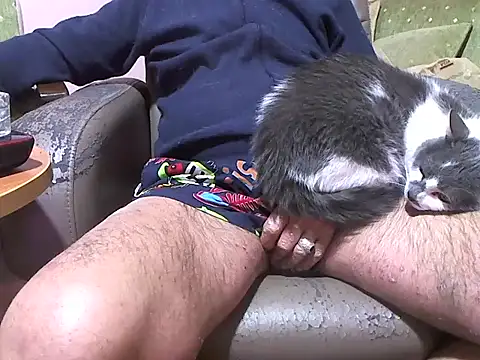 zormen355 online show from 8, 4, 2026