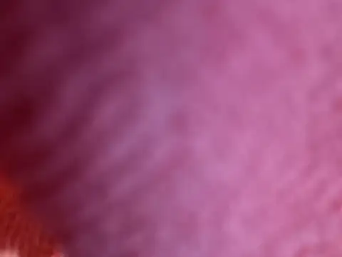 Snapshot of Amarok39 chatting on 18, 10, 2025 Amarok39 online show from 18, 10, 2025