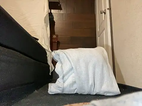 Snapshot of Amarok39 chatting on 9, 2, 2026 Amarok39 online show from 9, 2, 2026